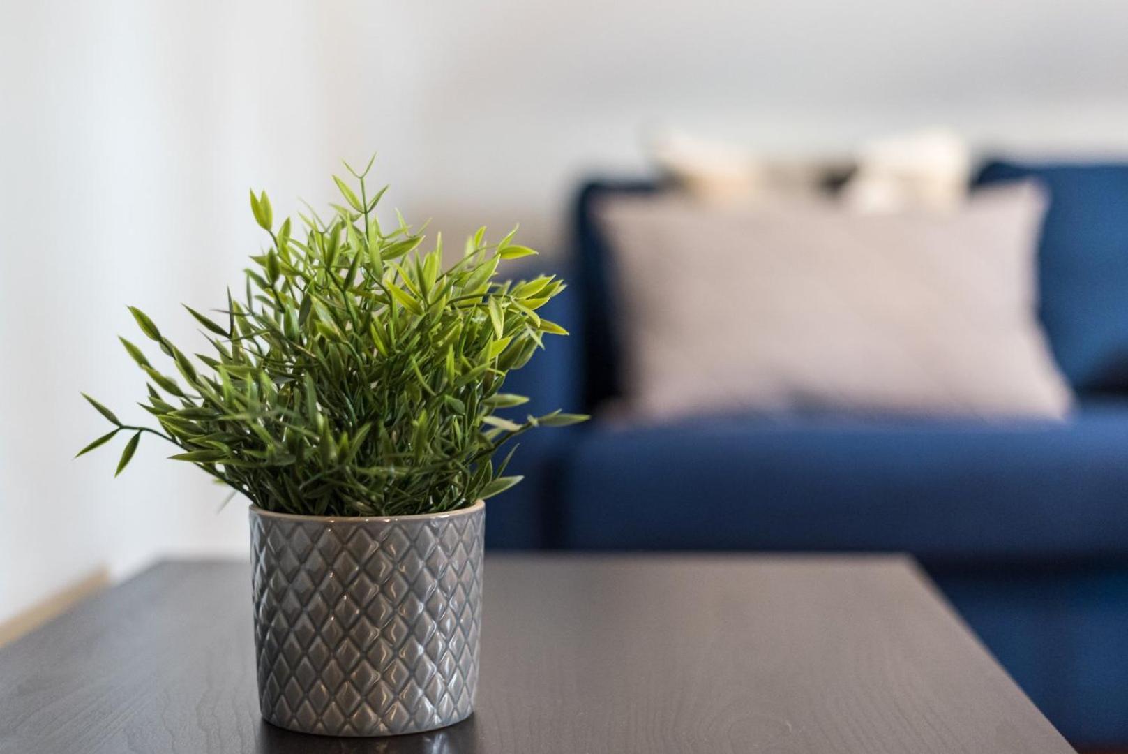 Guestready - Miragaia Rooftop Porto Kültér fotó